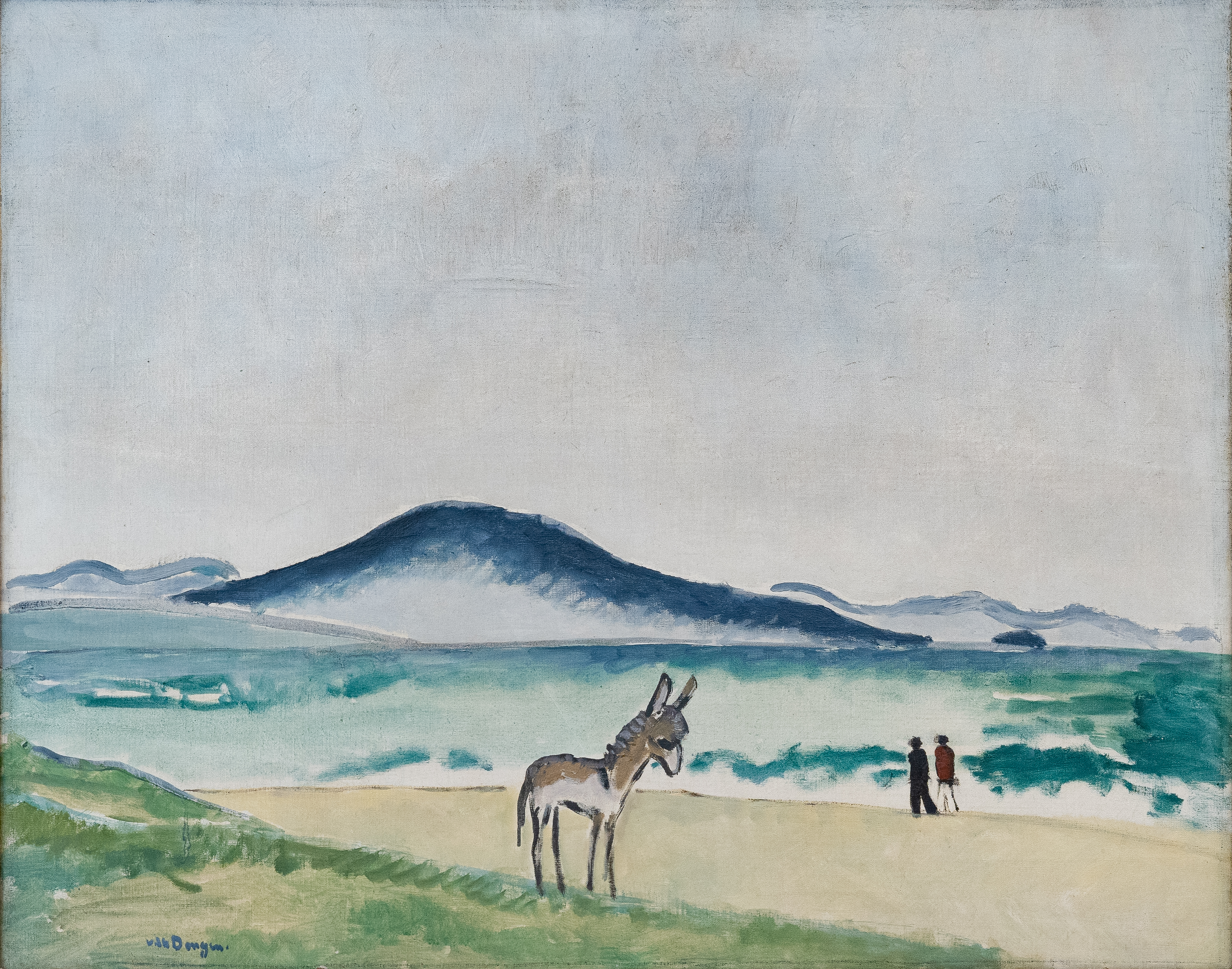 Le petit âne sur la plage ; Côte basque_0